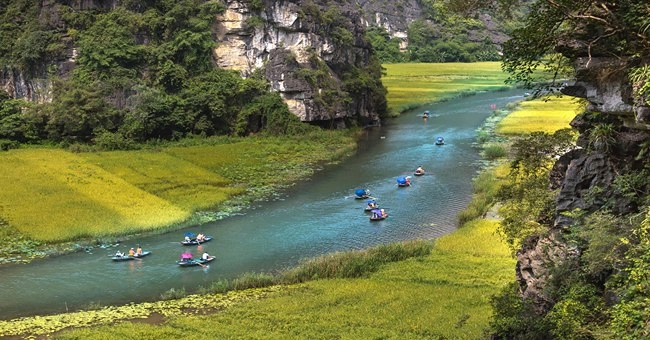 Exploring the Amazon River on a South America Expedition Cruise