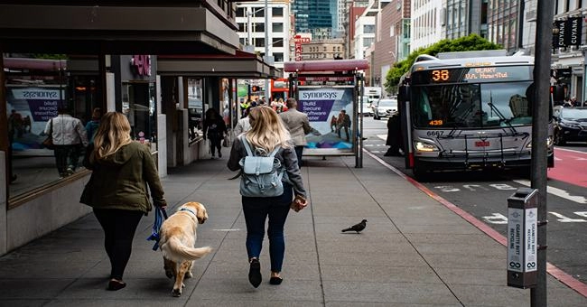 Exploring the History of a City Through a Walking Tour