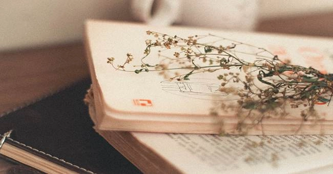 Travel & Food Literature: Essential Books for Foodie Explorers